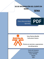 Análisis de Información Del Cliente en Mora