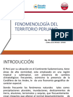 Fenomelogía Territorio Peruano - WHP - 2020