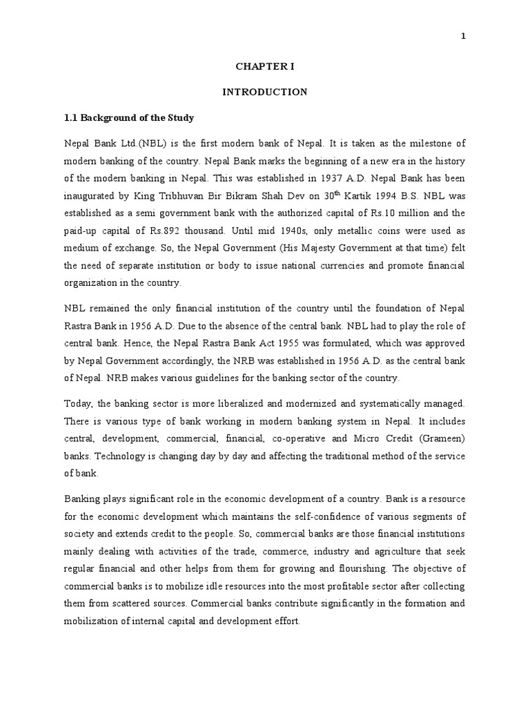 Sanima Bank Credit Risk Analysis Report | PDF | Debt | Equity (Finance)