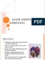 asam-amino-dan-protein