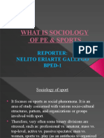 What Is Sociology (Nelito)