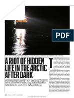 A Riot of Hidden Life in The Arctic After Dark: Feature