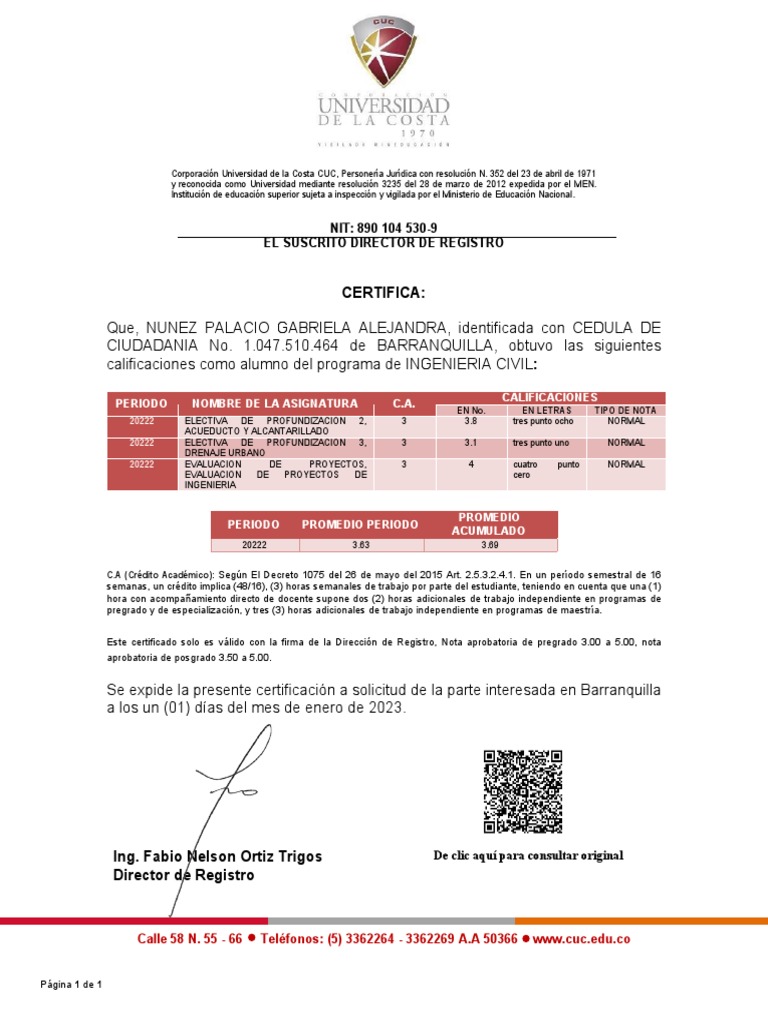 certifica-nit-890-104-530-9-el-suscrito-director-de-registro-pdf