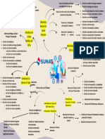 Estructura organizacional de la administración aduanera