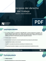 Los Principios Del Derecho Del Trabajo