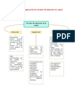 Mapa Conceptual de Los Niveles de Atención en Salud