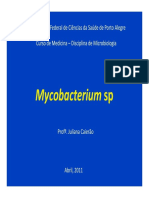 9 - Mycobacterium - SP