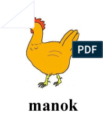 Manok