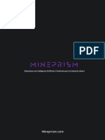 Brochure Mineprism