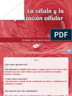 Ciencias Naturales 07.03.2022 5°niveles de Organización de Los Seres Vivos.