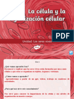 Ciencias Naturales 14.03.2022 5°niveles de Organización de Los Seres Vivos