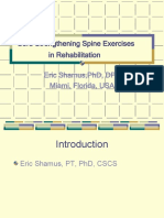 Spine Stabilization Powerpoint