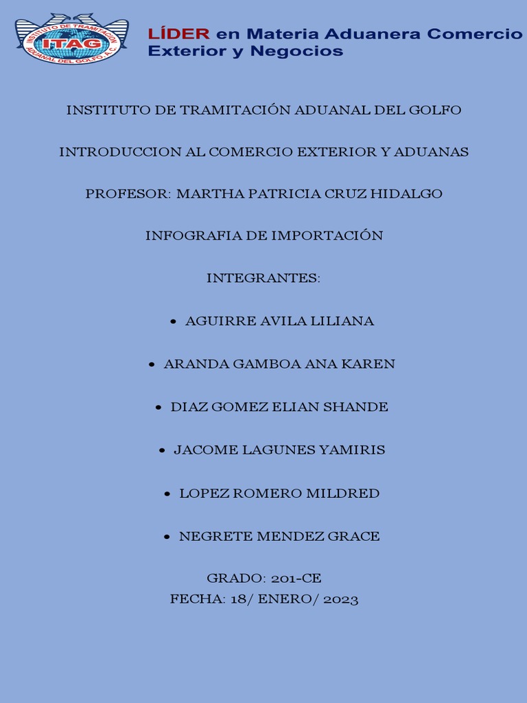 Infografia Importación 1 Pdf Aduana Arancel