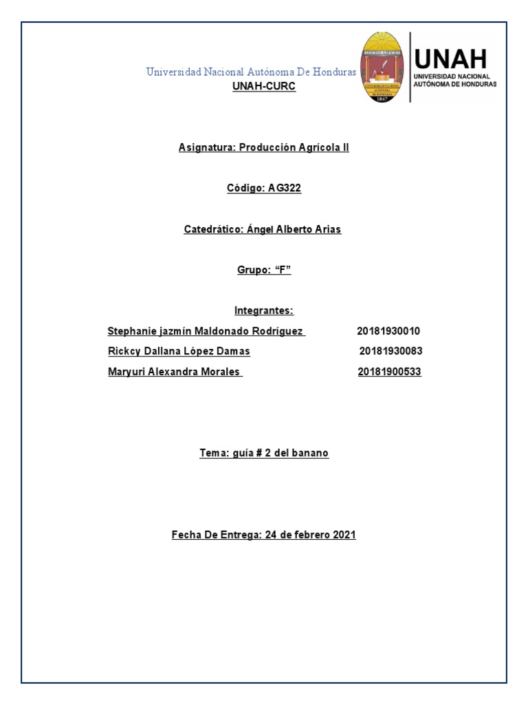 Guia Del Cultivo Del Banano Pdf Plantas Botánica