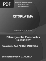 Citoplasma