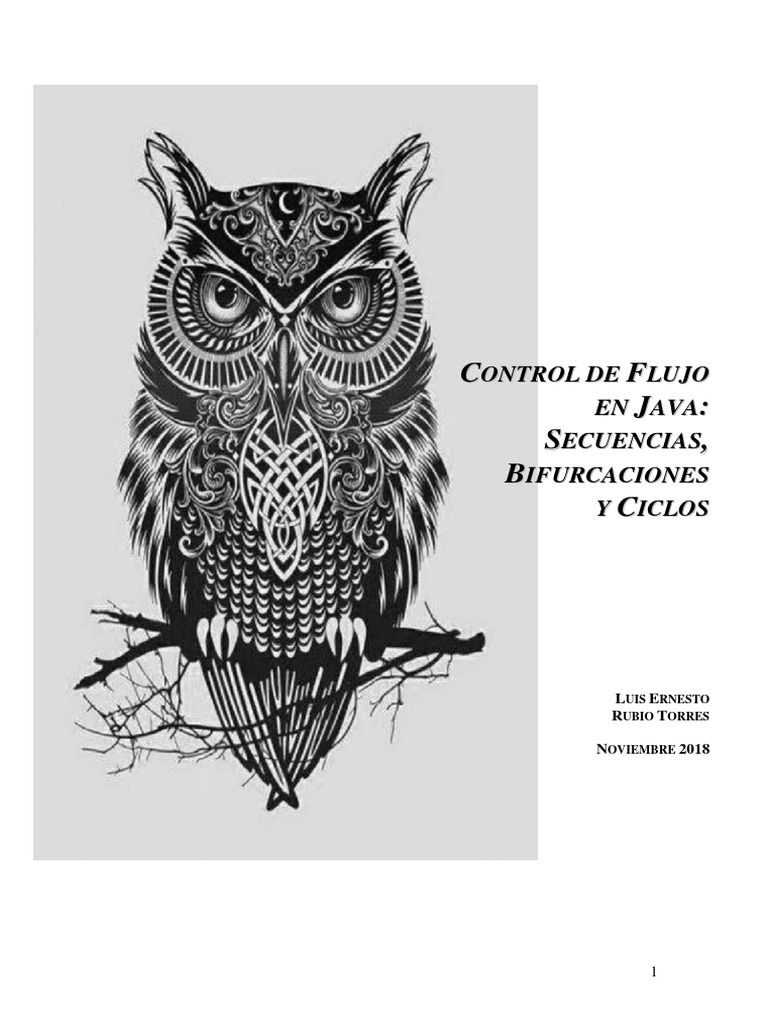 Control de Flujo en Java: Estructuras Básicas | PDF | Java (lenguaje de ...