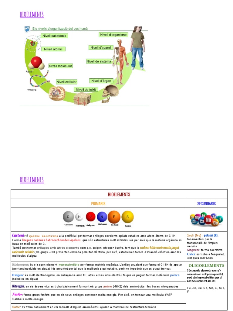 1a. BIOELEMENTS | PDF