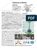 Fortpflanzung Der Pflanzen