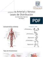 Sistema Arterial y Venoso Leyes de Distribución: Dra. Norma Iliana Tapia Soto MC Pediatra