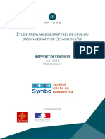 Reperes de Crues - Rapport Synthese Mayane