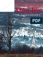 Mandru de Maramures 10