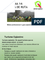 Tema 14 Teoria de Ruta