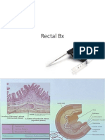 Rectal BX