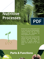 Plants Nutritive Processes: Group 3