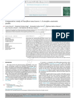 Article in Press: Comparative Study of Passi Ora Taxa Leaves: I. A Morpho-Anatomic Profile