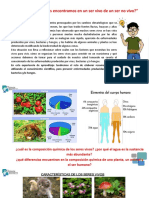 ¿Qué Diferencias Encontramos en Un Ser Vivo de Un Ser No Vivo?