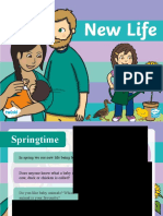 Roi Sphe 60 New Life Powerpoint - Ver - 2