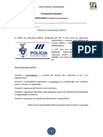 Polícia de Segurança Publica