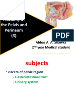 Abbas A. A. Shawka 2 Year Medical Student