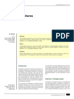 Anomalías pupilares: causas, diagnóstico y tratamiento