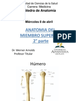 Anatomia Del Miembro Superior 2° Parte: Cátedra de Anatomía