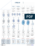 Types of Vaccines