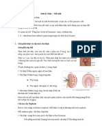 P1. Sinh lý Thận - P1 - Giải phẫu thận, sinh lý dịch cơ thể