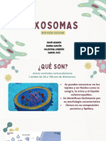 EXOSOMAS