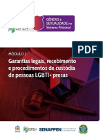 Garantias Legais, Recebimento e Procedimentos de Custódia de Pessoas LGBTI+ Presas