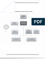 Organigrama Proyecto Especiales