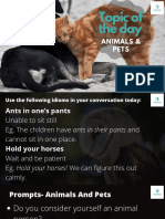 41) Learners Document (Animals and Pets) 11 Compressed