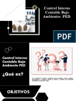 Control Interno Contable Bajo Ambientes PED