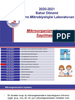 Mikroorganizmaların Sayılması