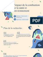 L'impact de La Combustion Sur La Santé Et L'environnement