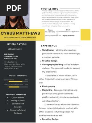 professional modern cv resume