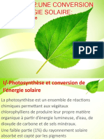 La Photosynthèse