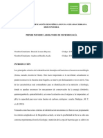 Informe Microbiologia - Lozano - Bonilla - Identificacion Cepa Microbiana