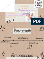 IU: Concepto, clasificación, diagnóstico y factores de riesgo