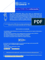 Documento Embarazada PDF
