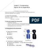 Unidad 2. Fundamentos Biológicos de La Citogenética: 1.cromosomas